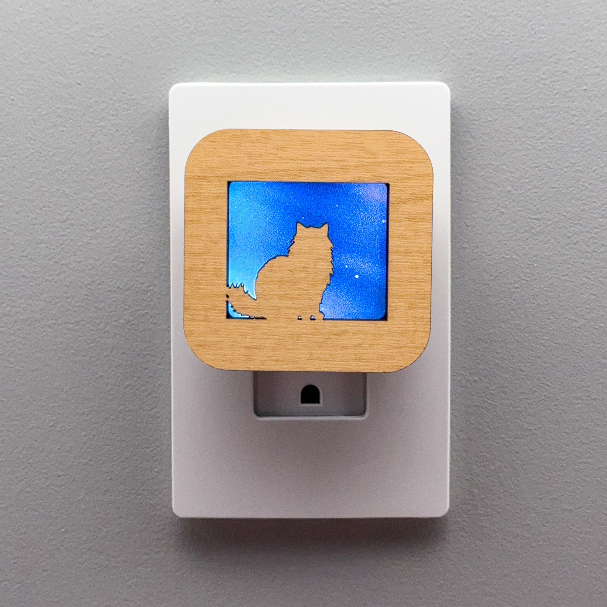 Fluffy Cat Night Light