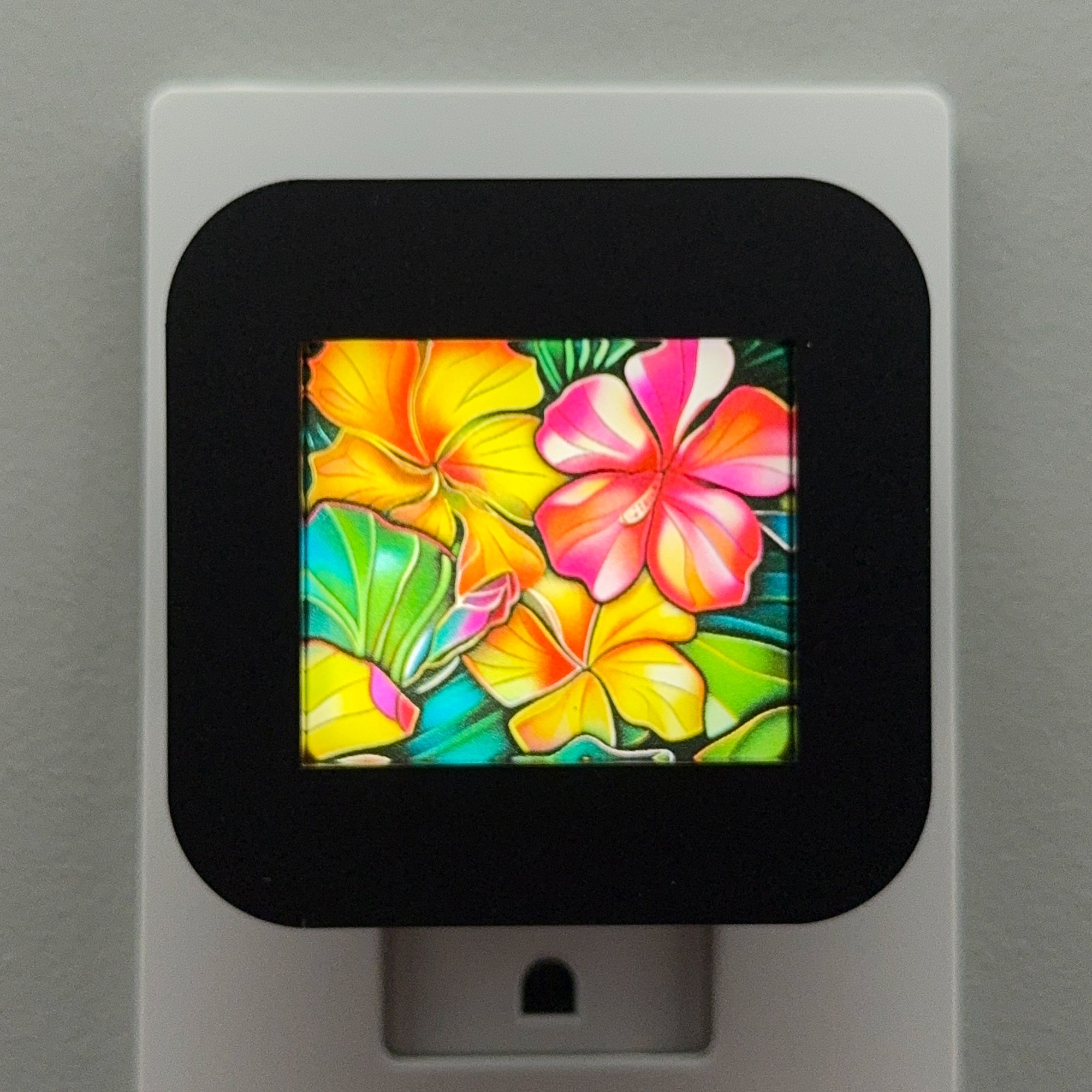 Tropical Flowers Night Light