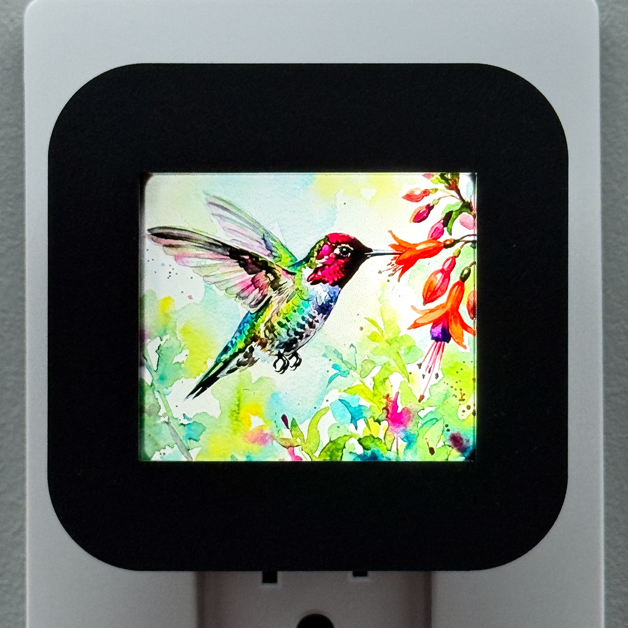 Watercolor Hummingbird Night Light Cover ONLY