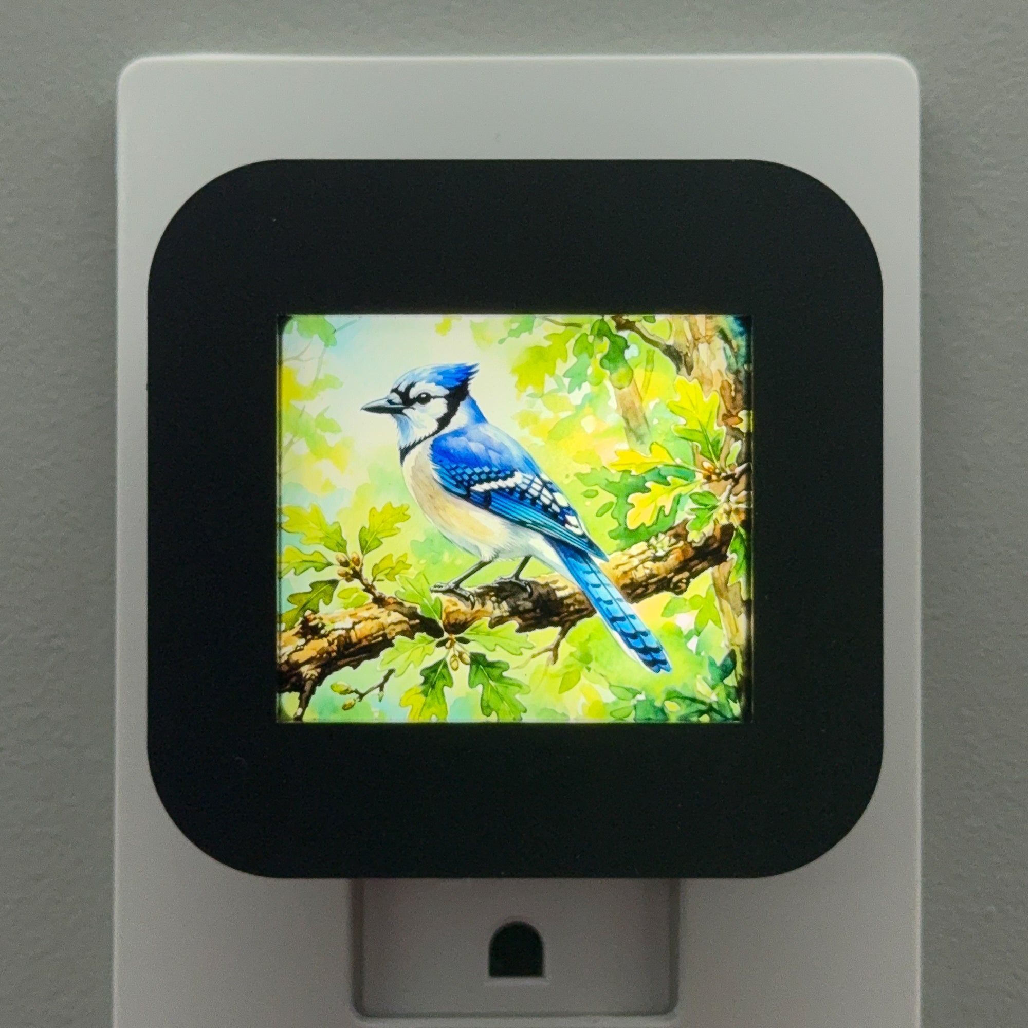Blue Jay Night Light