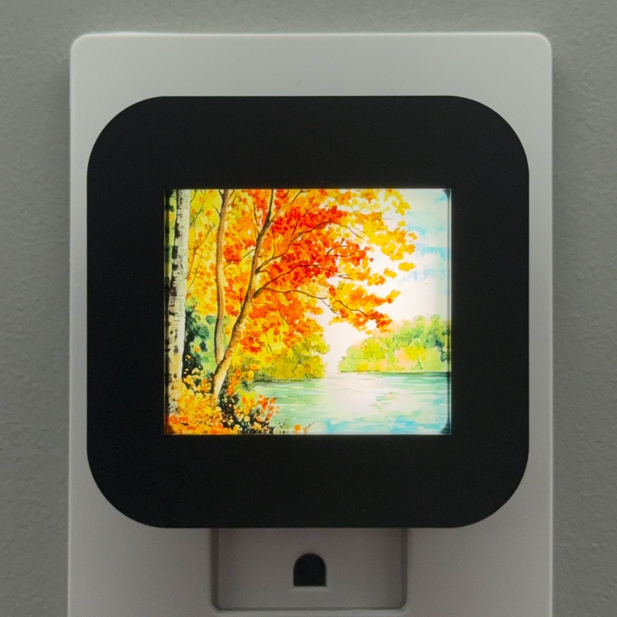 Fall Foliage Night Light