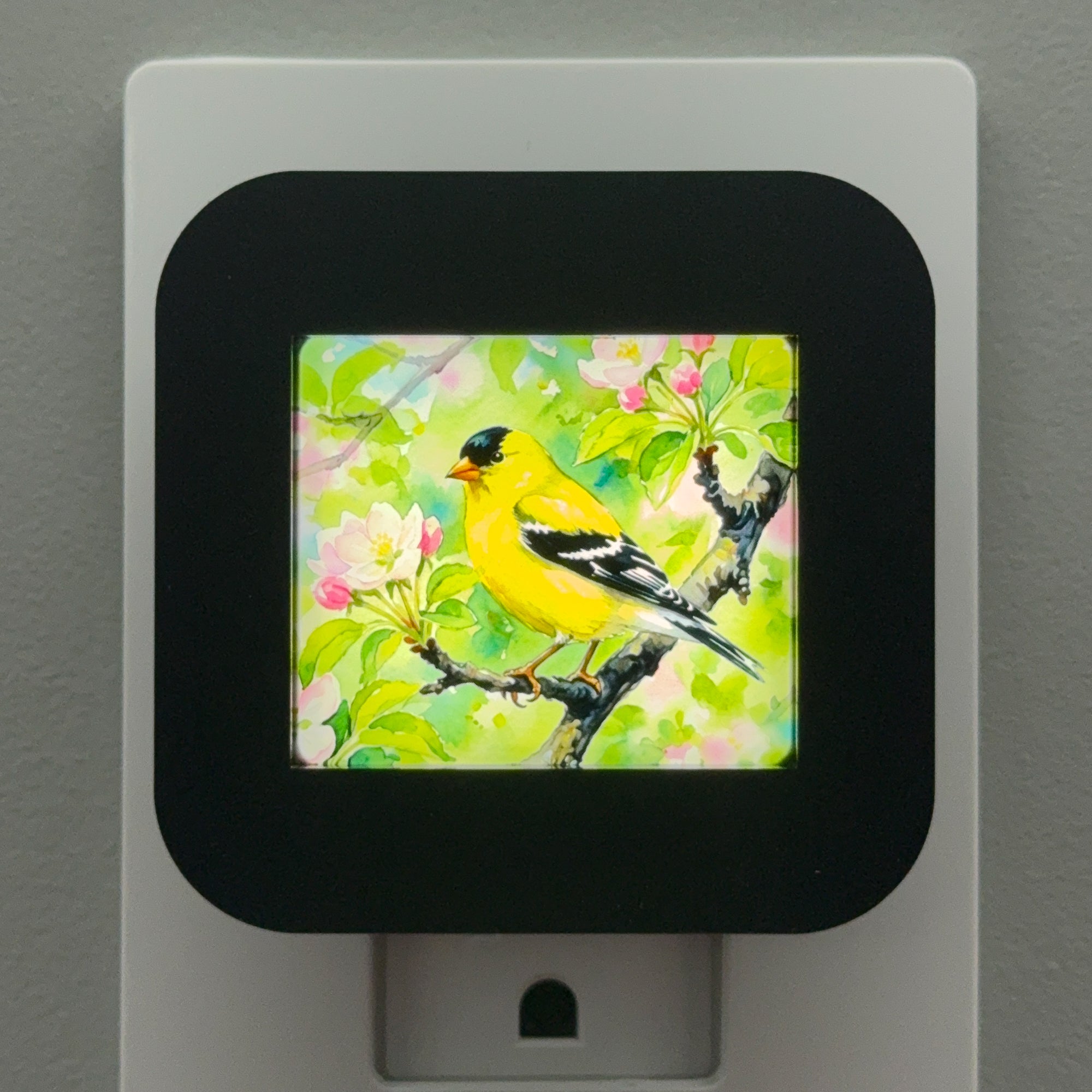 Goldfinch Night Light