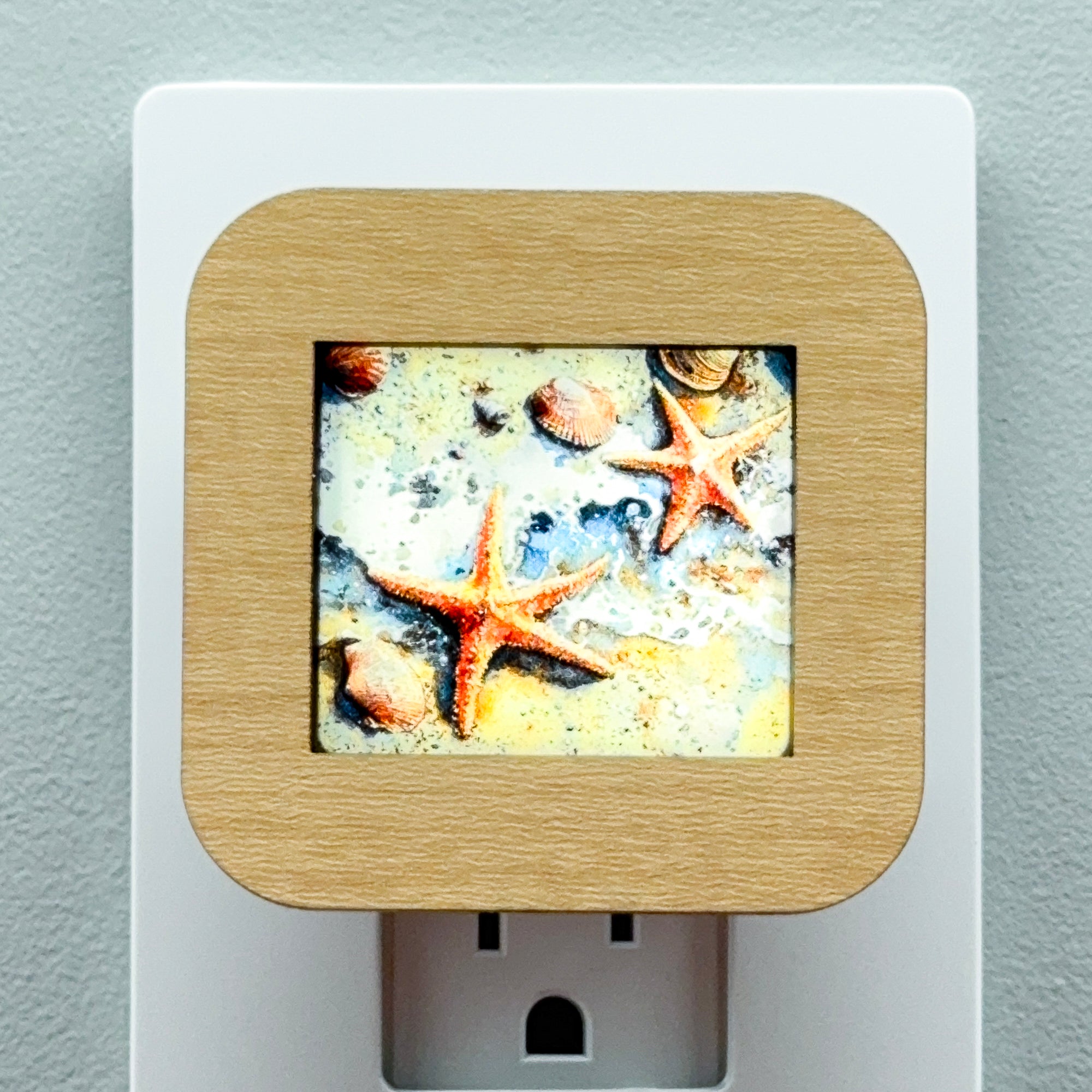 Starfish and Seashells Night Light Cover ONLY