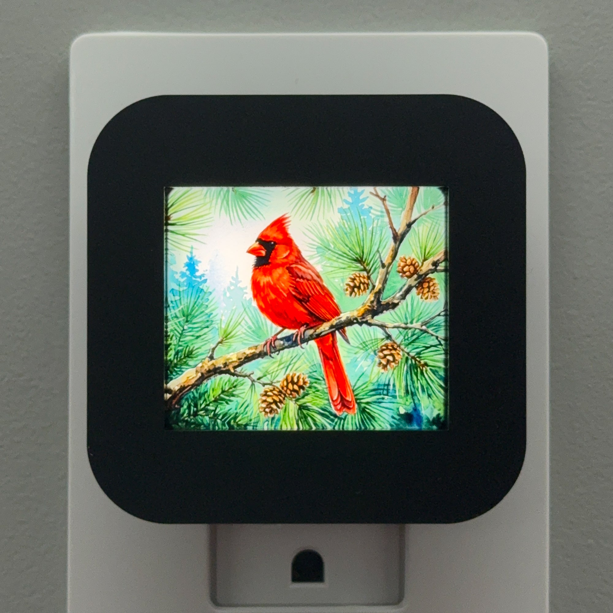 Cardinal Night Light