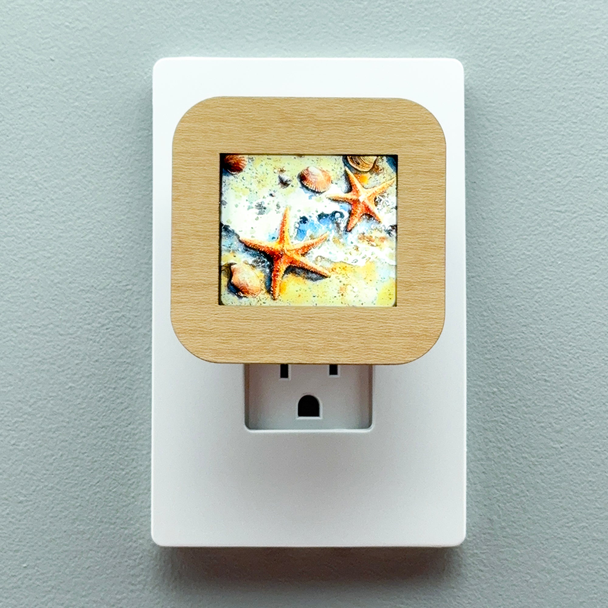 Starfish and Seashells Night Light Cover ONLY