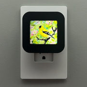 Goldfinch Night Light