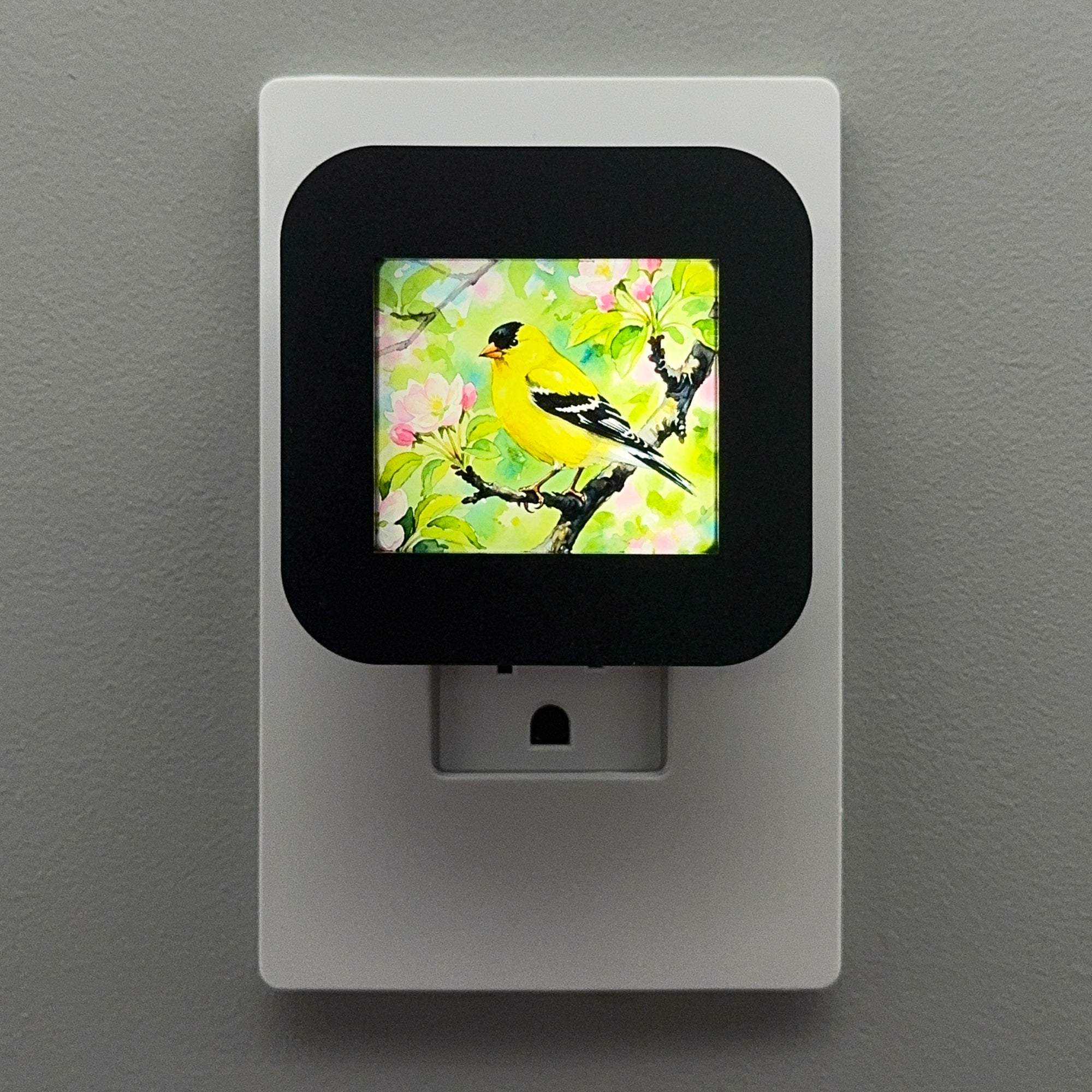 Goldfinch Night Light