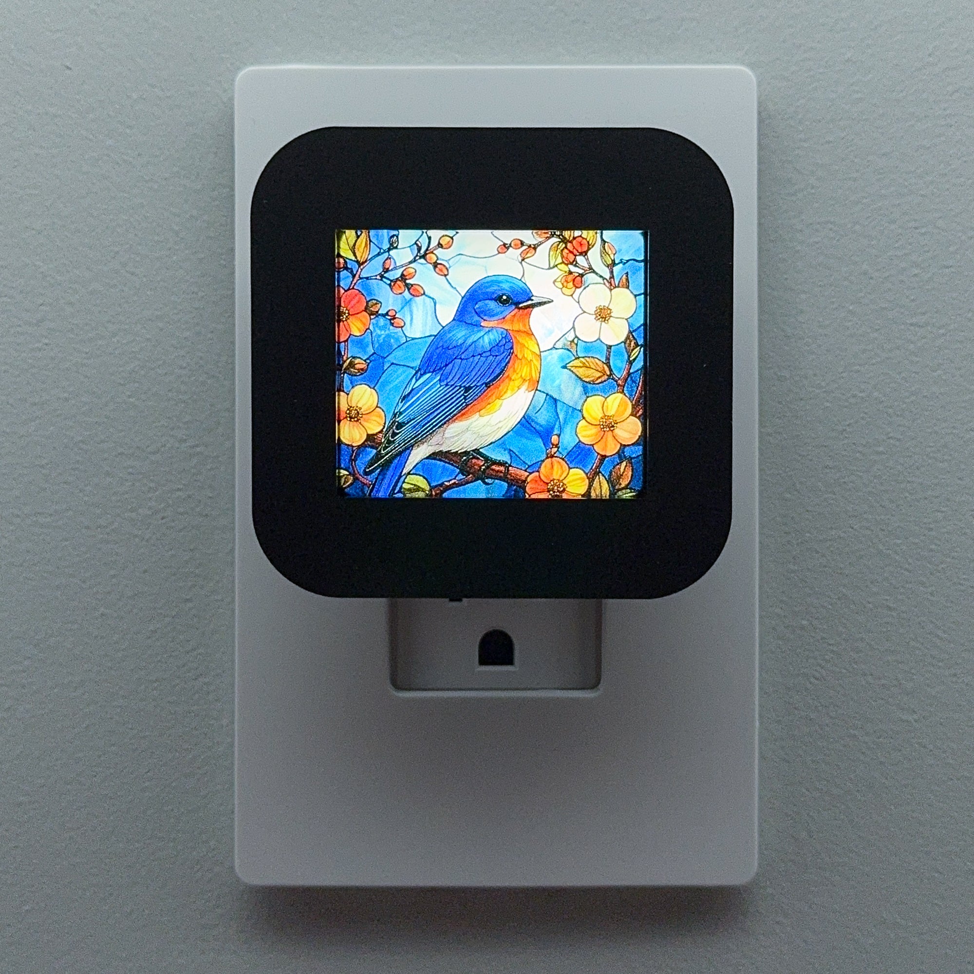 Spring Blue Bird Night Light