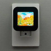Desert Night Light
