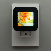Fall Foliage Night Light