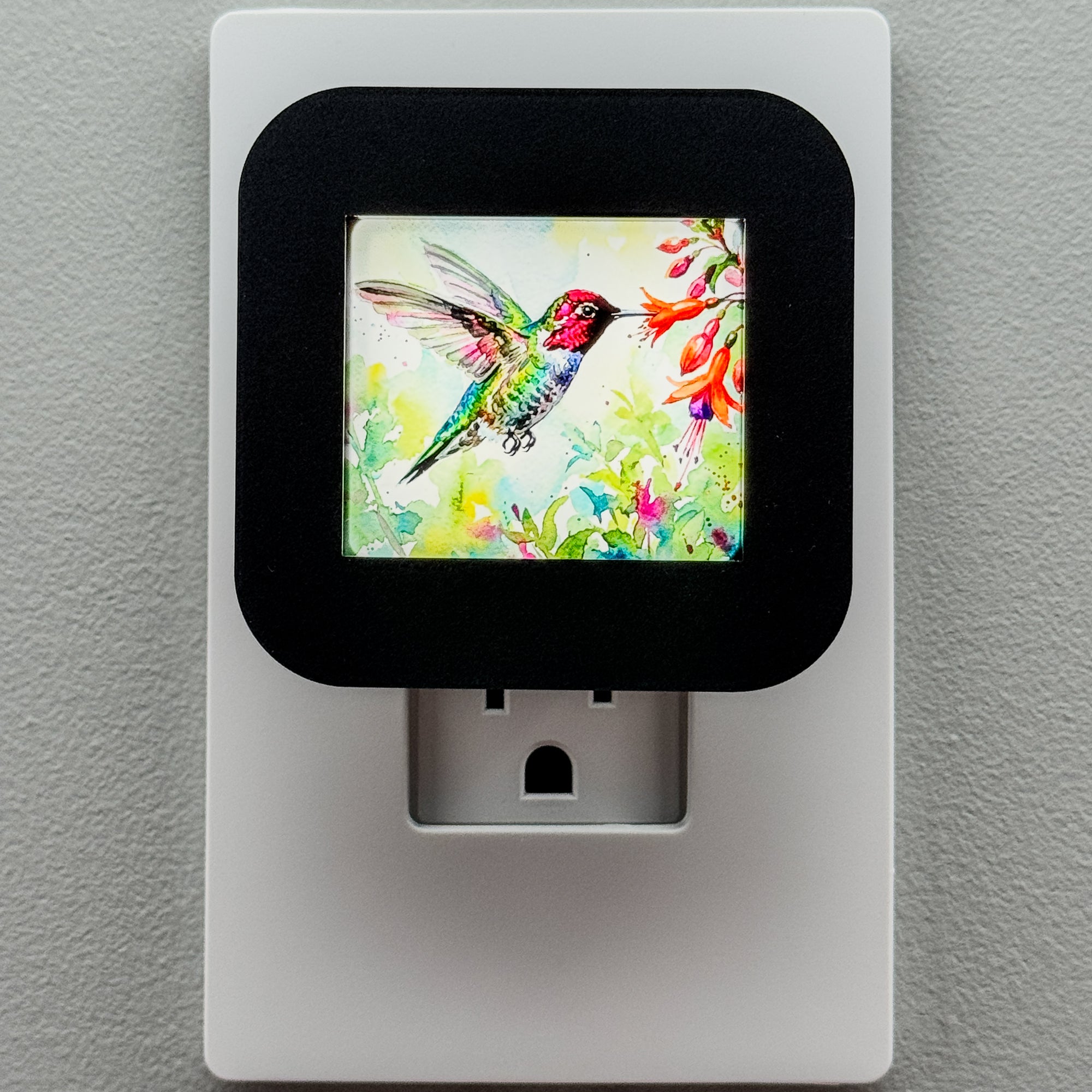 Watercolor Hummingbird Night Light Cover ONLY