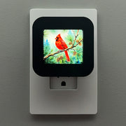 Cardinal Night Light