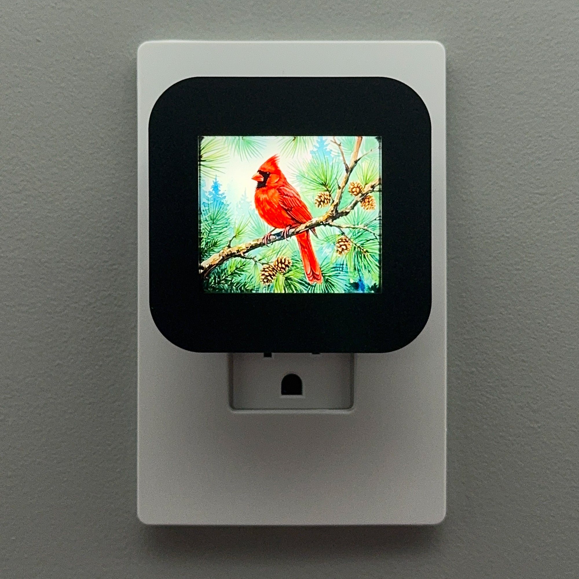 Cardinal Night Light