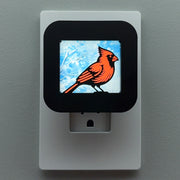 Red Cardinal in Winter Night Light