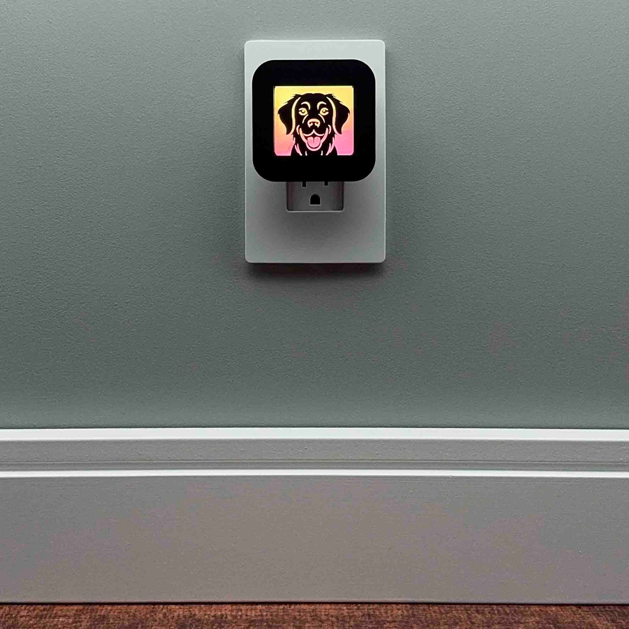 Golden Retriever Dog Night Light