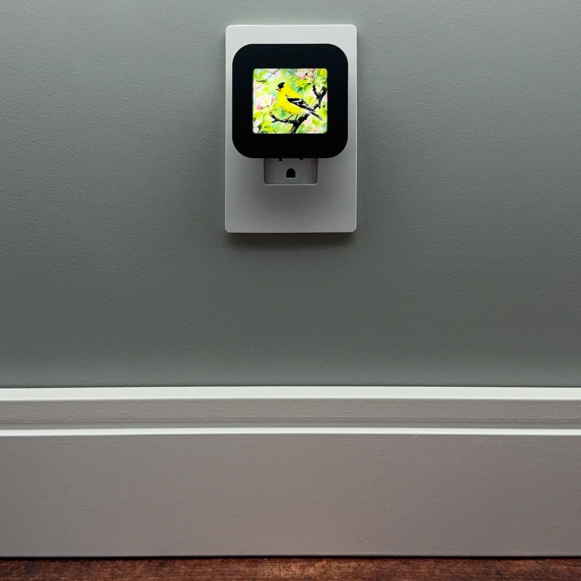 Goldfinch Night Light