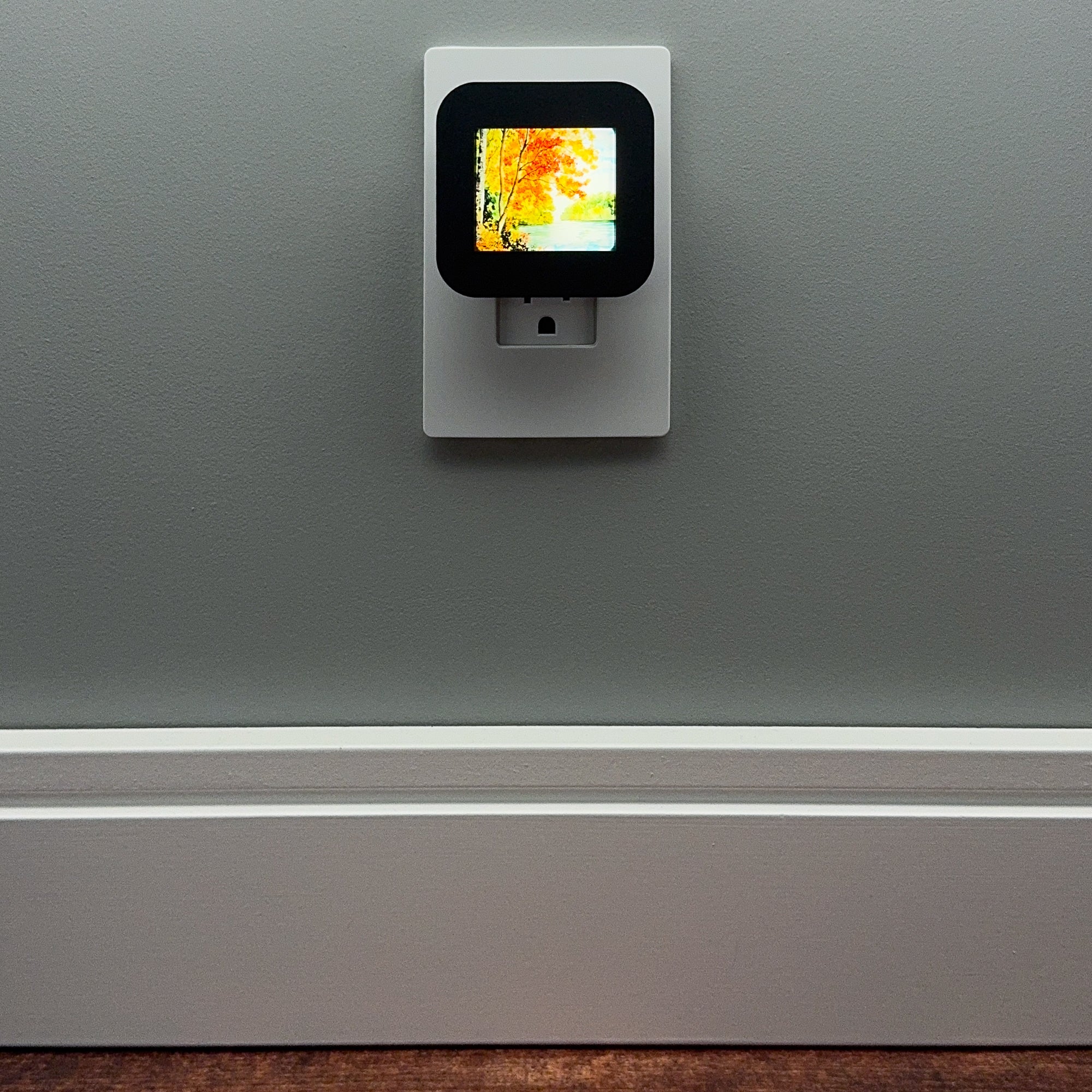 Fall Foliage Night Light