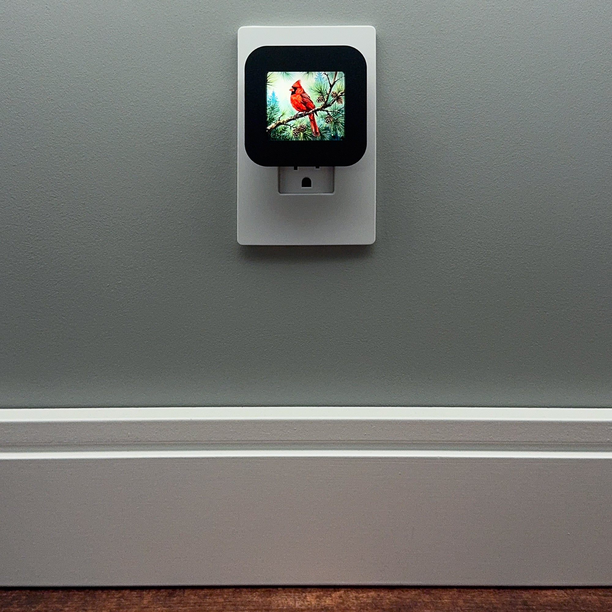 Cardinal Night Light