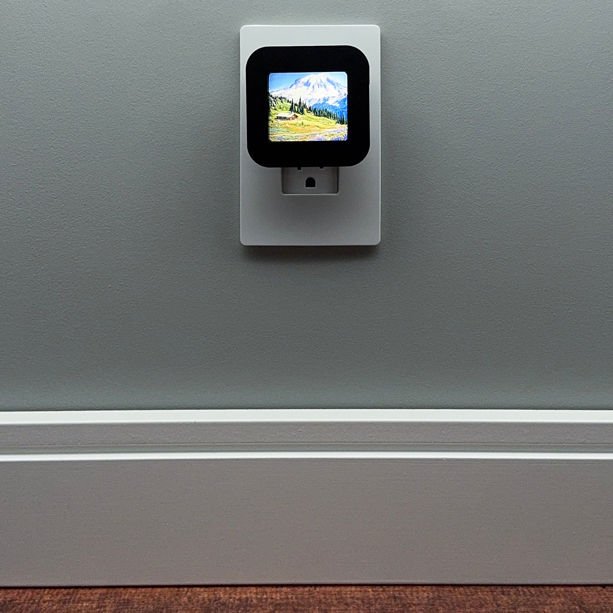 Mount Rainier National Park Night Light