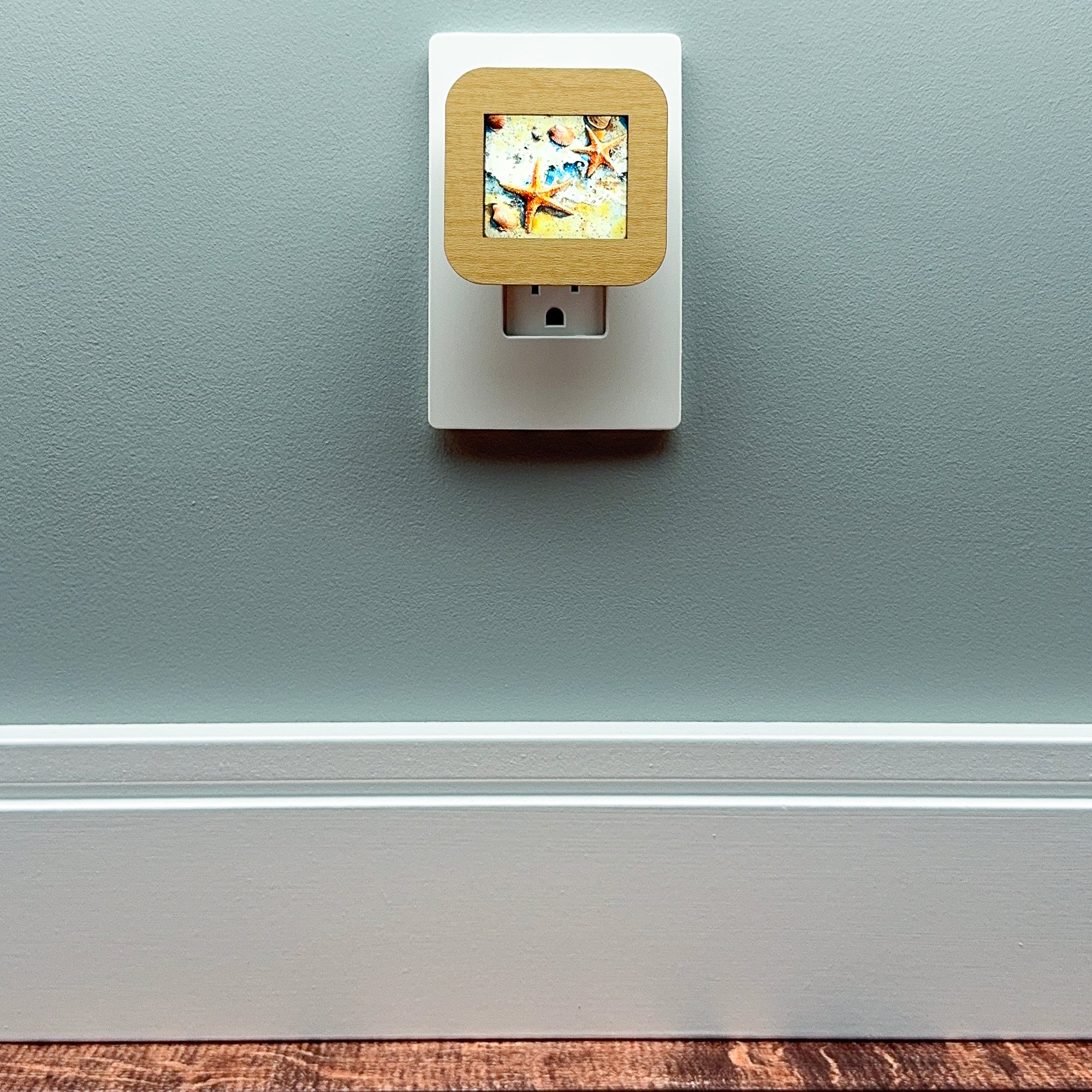 Starfish and Seashells Night Light