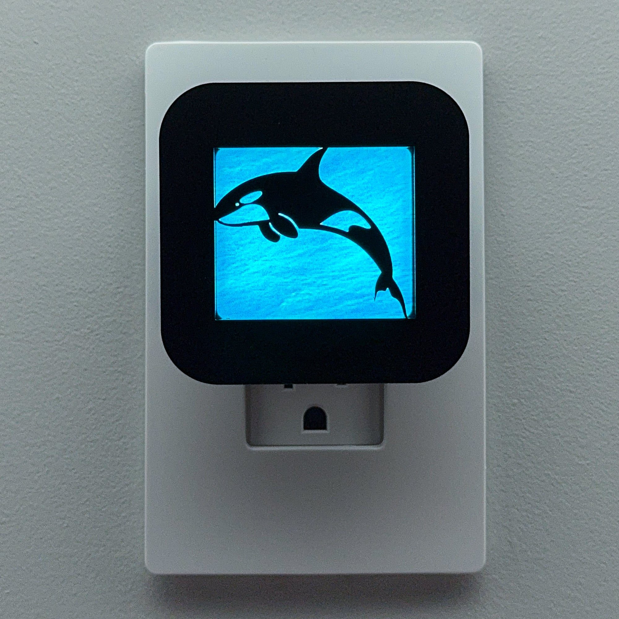 Orca Night Light