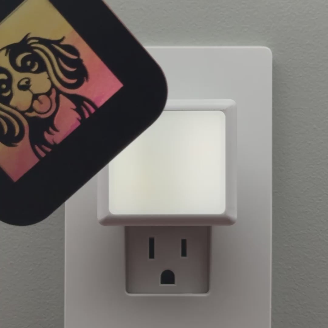 Load video: Cavalier King Charles Spaniel Dog Night Light