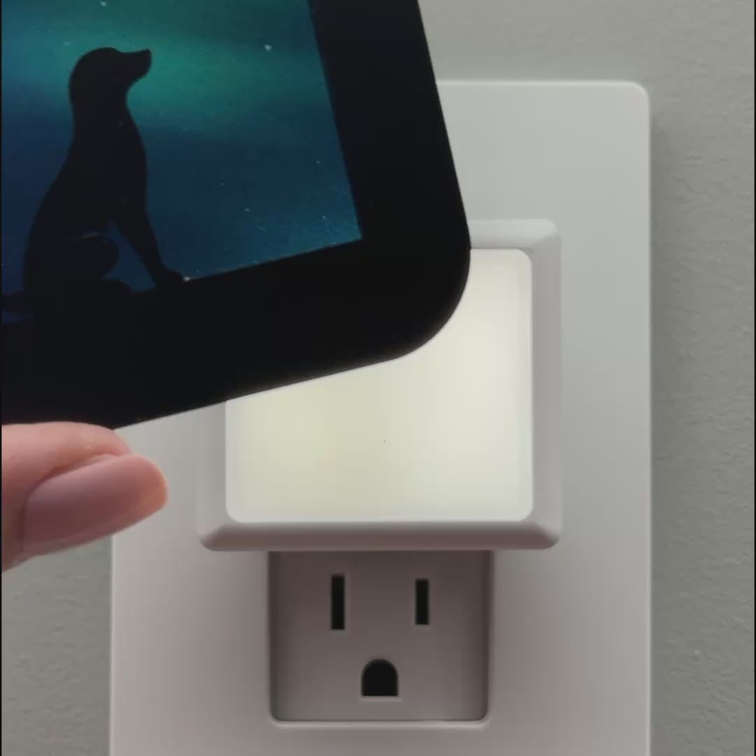Load video: Sitting Dog Night Light