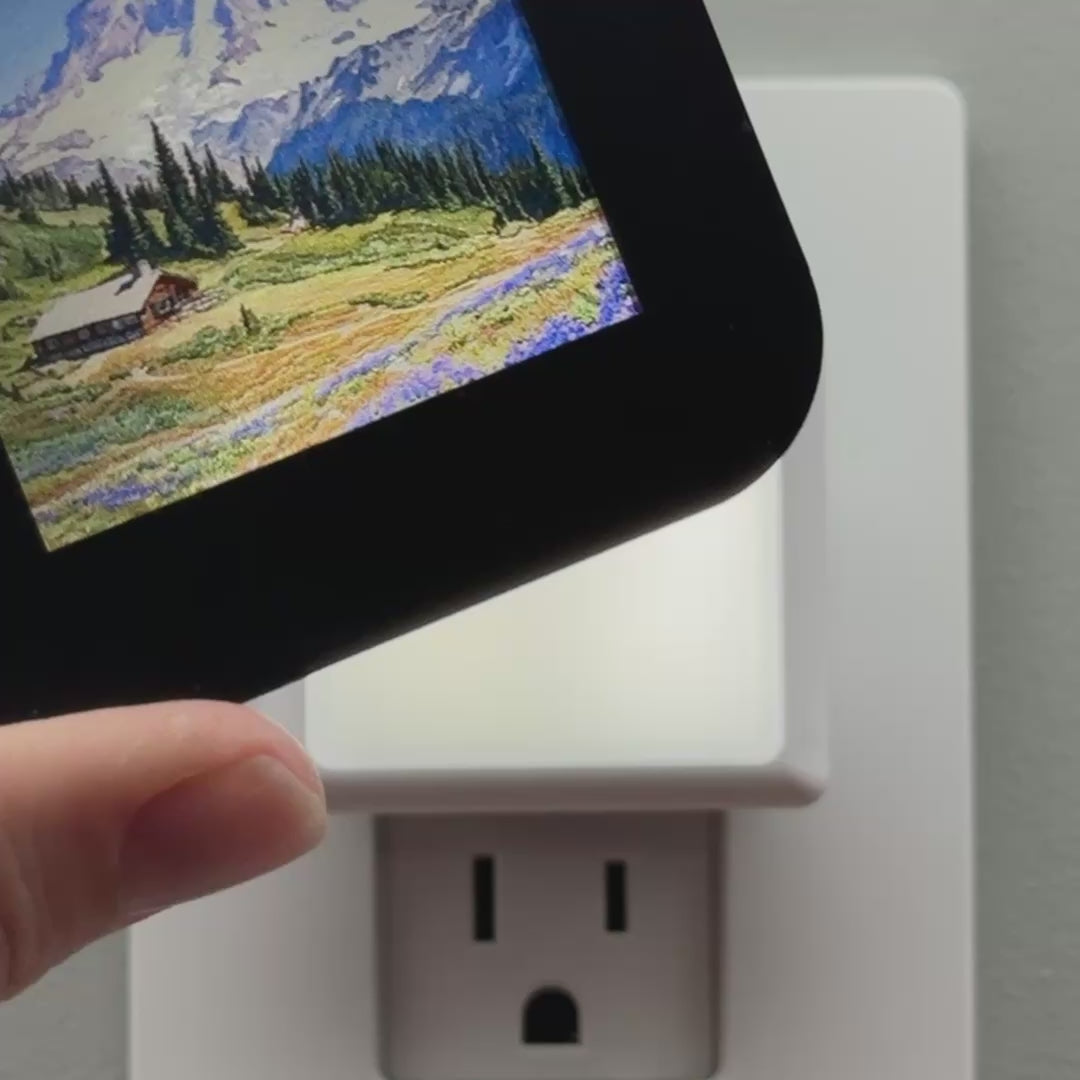 Load video: Mount Rainier National Park Night Light