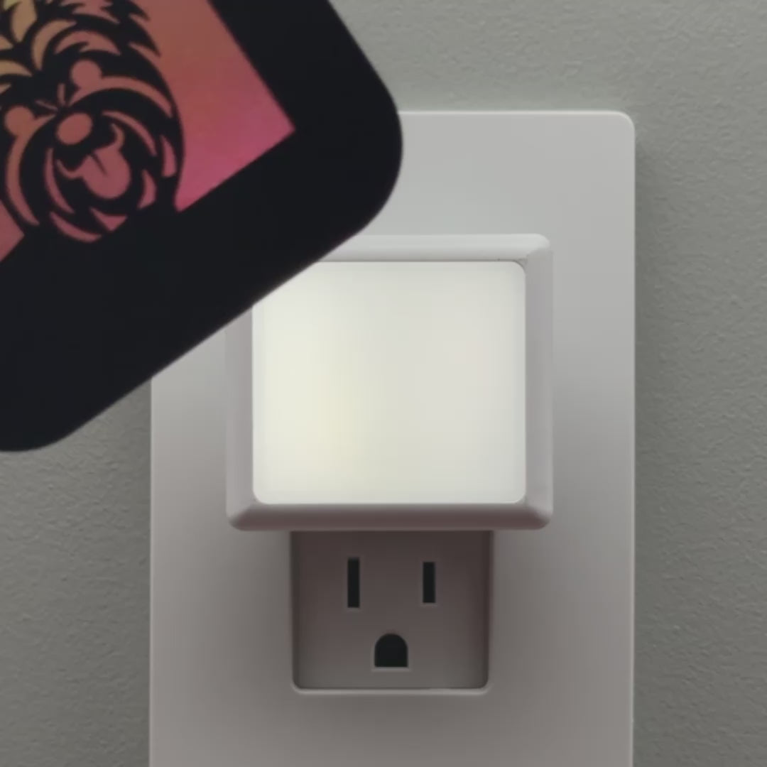 Load video: Yorkshire Terrier Dog Night Light