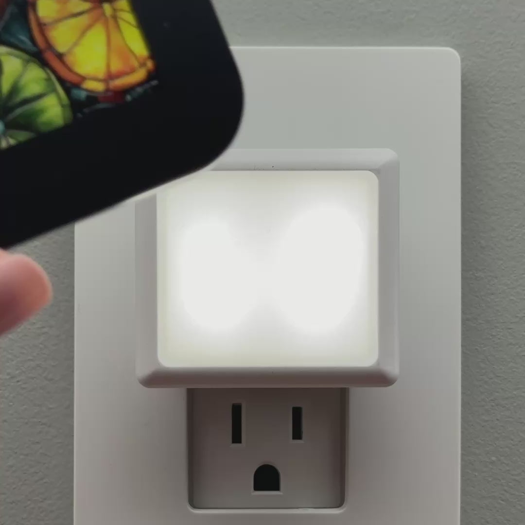 Load video: Citrus Faux Stained Glass Night Light