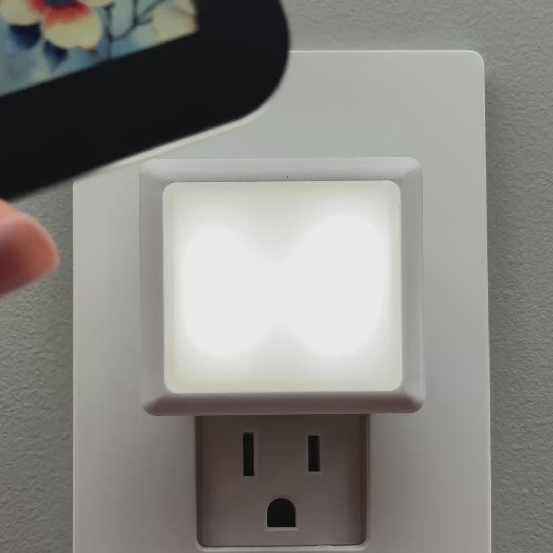 Load video: Dogwood Flowers Night Light