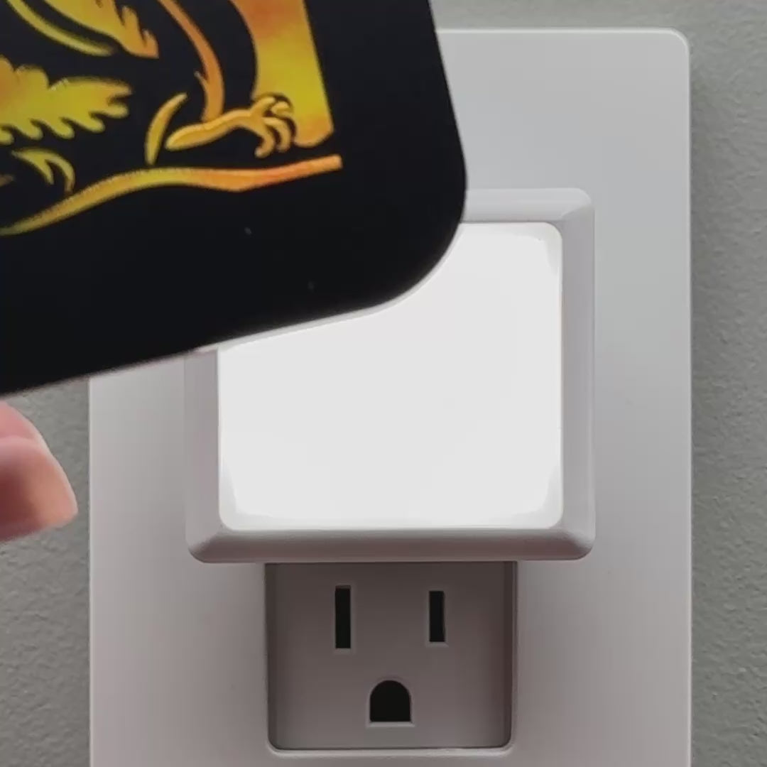 Load video: Large Dragon Night Light