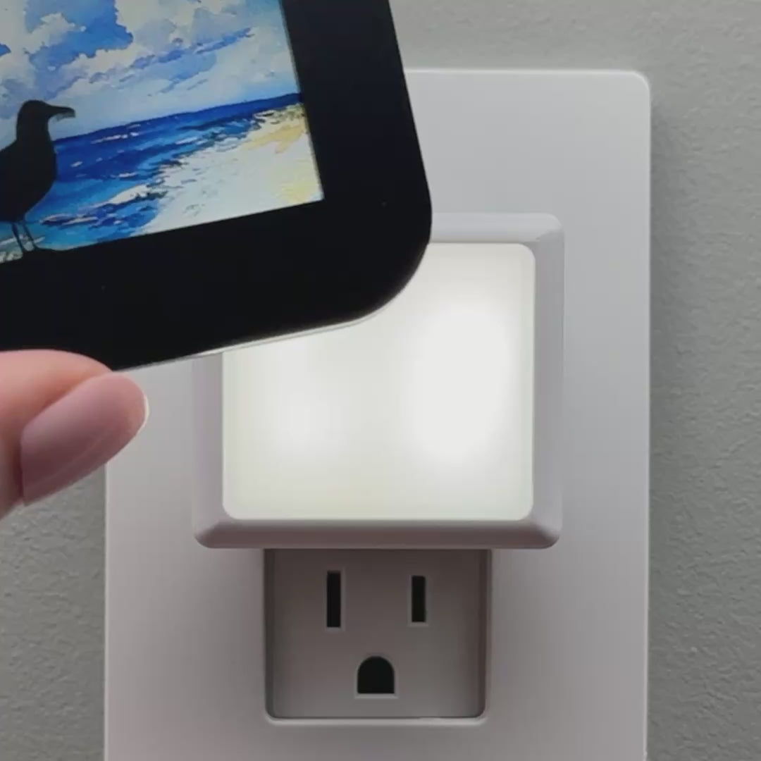 Load video: Seagull and Ocean Shore Night Light Cover ONLY