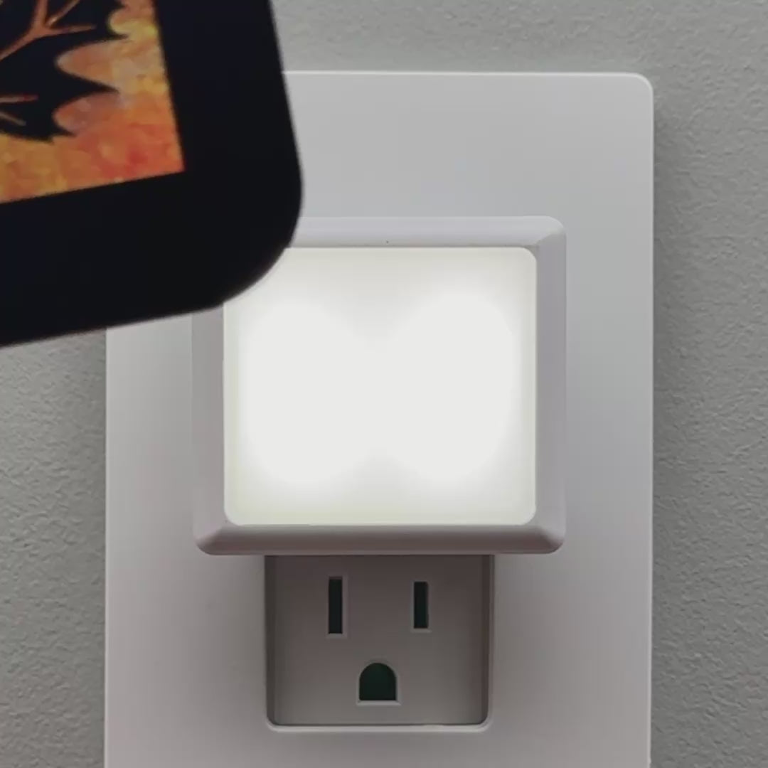 Load video: Maple Leaf Night Light Cover ONLY
