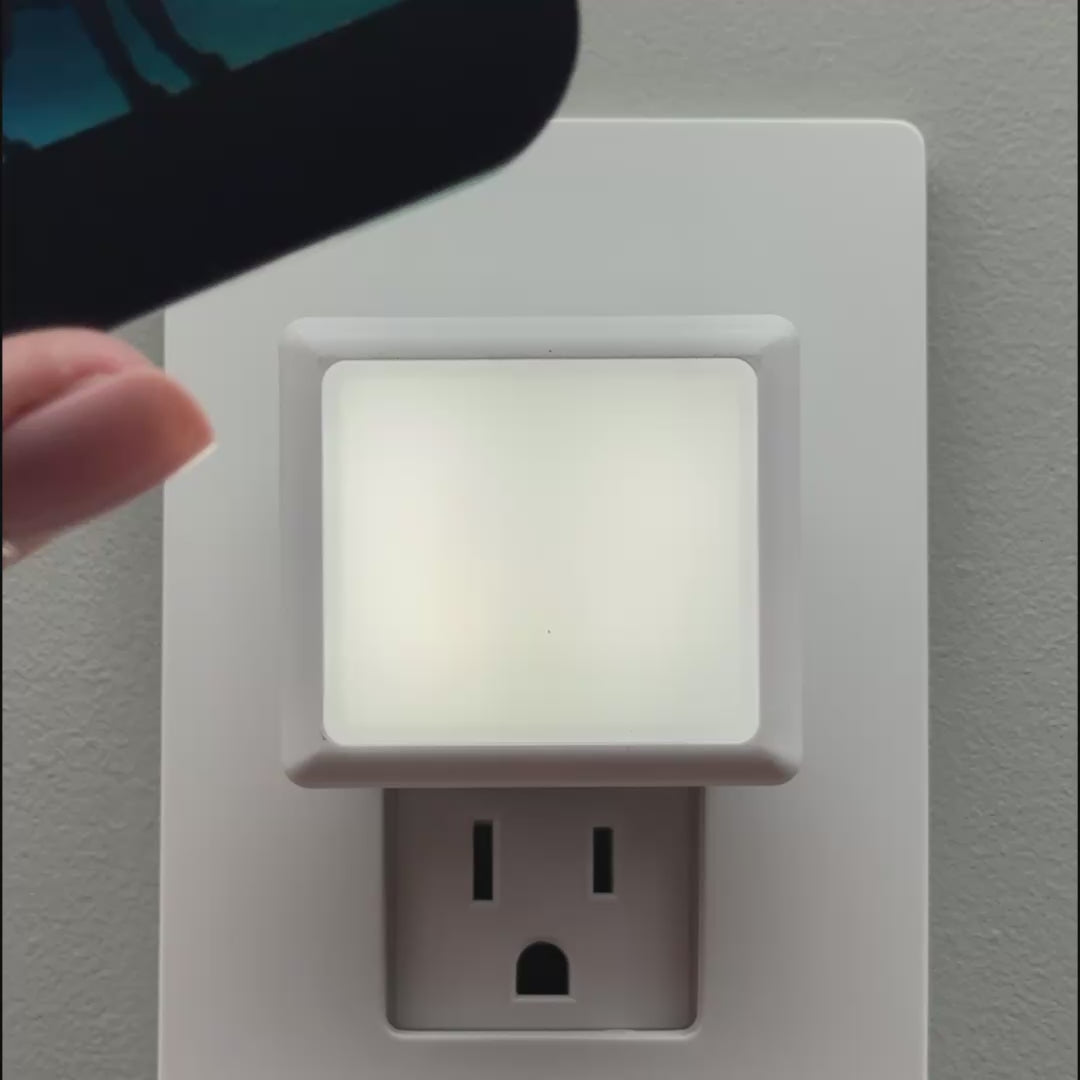 Load video: Dog Night Light