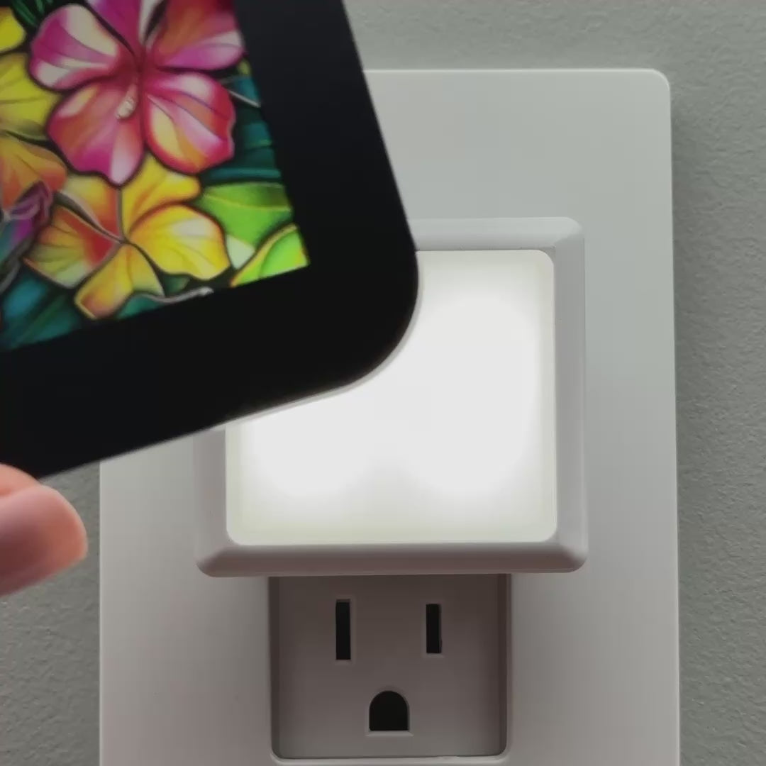 Load video: Tropical Flowers Night Light