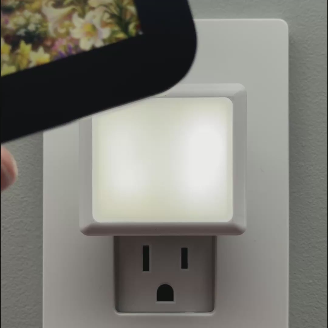 Load video: Easter Morning Flowers Night Light