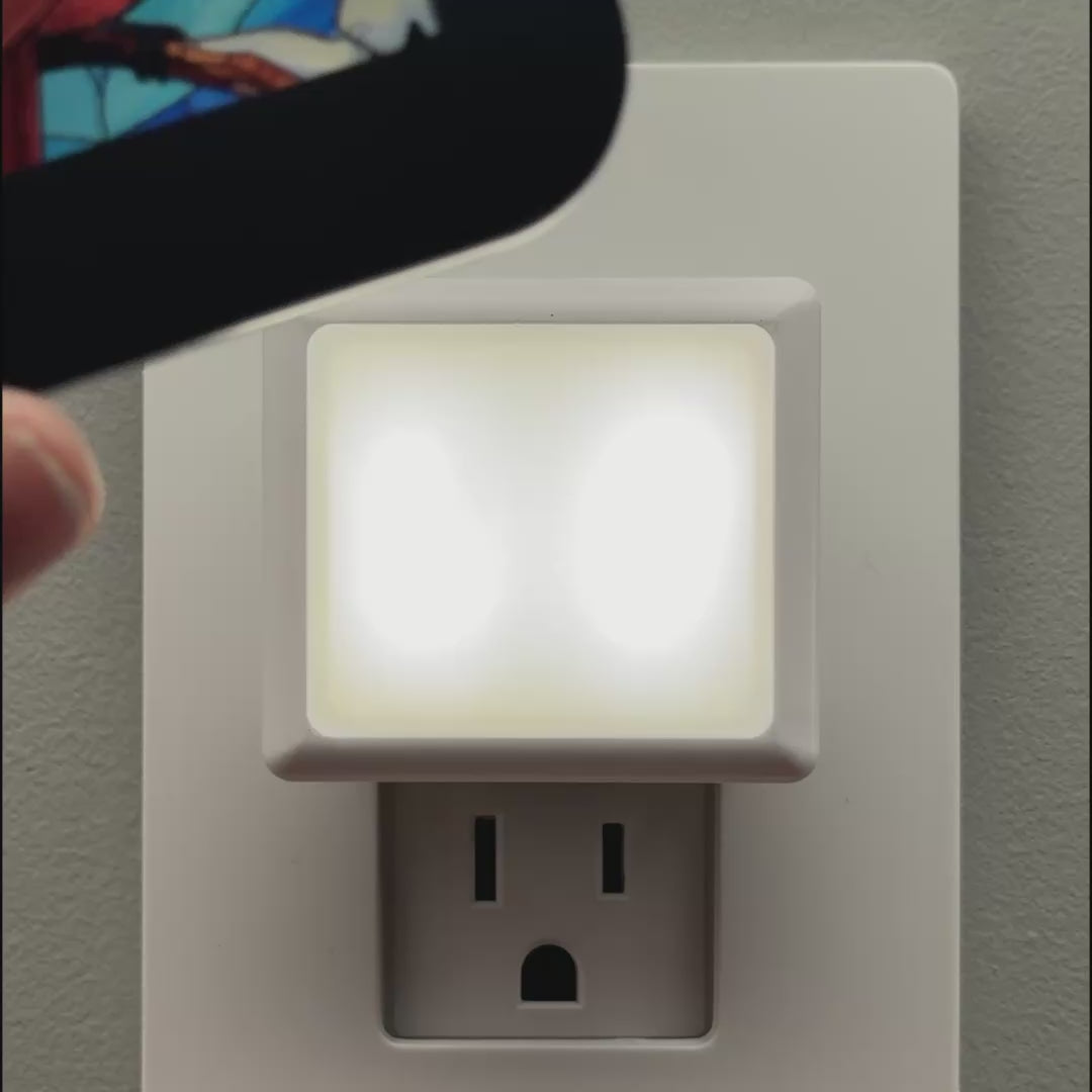 Load video: Winter Cardinal Night Light