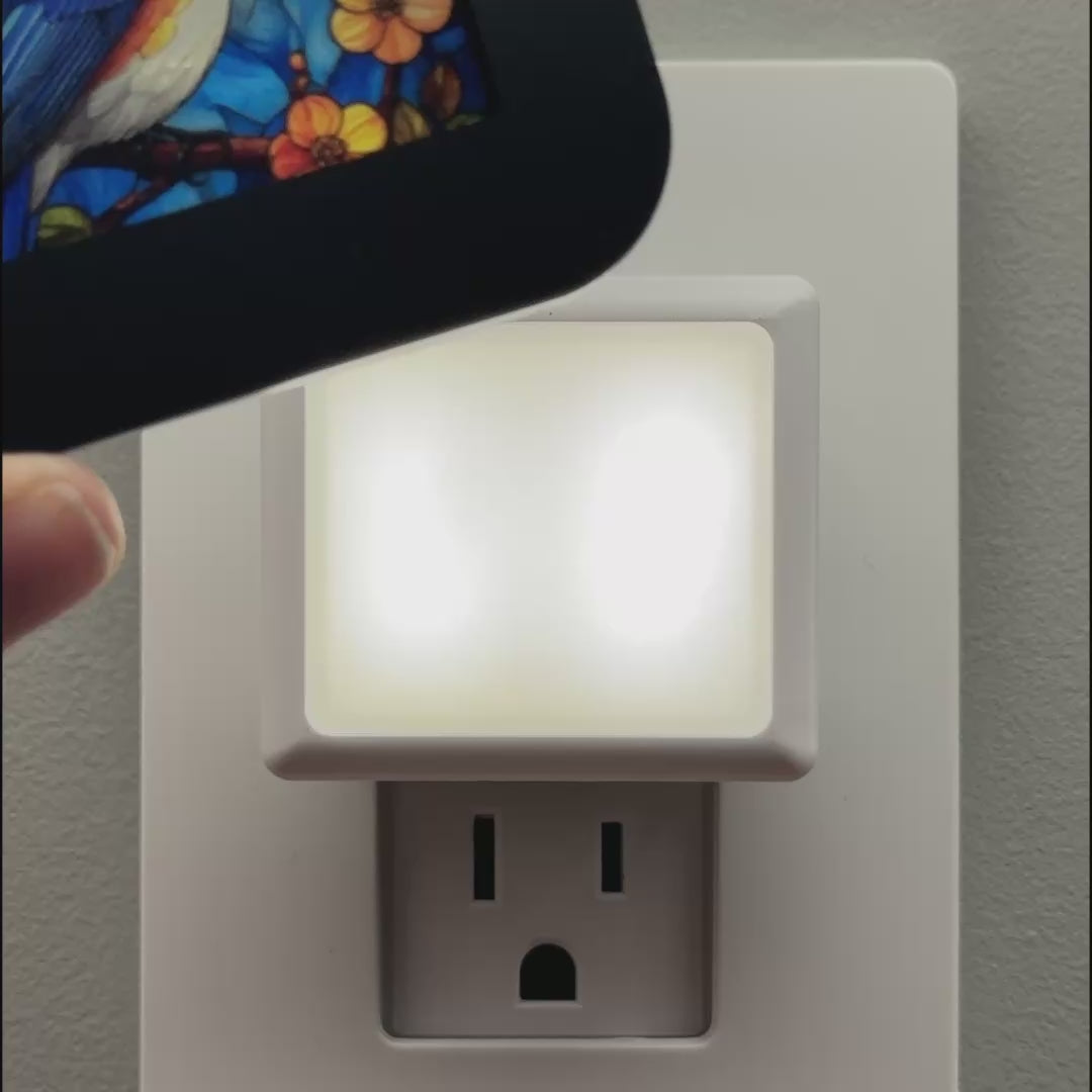 Load video: Spring Blue Bird Night Light