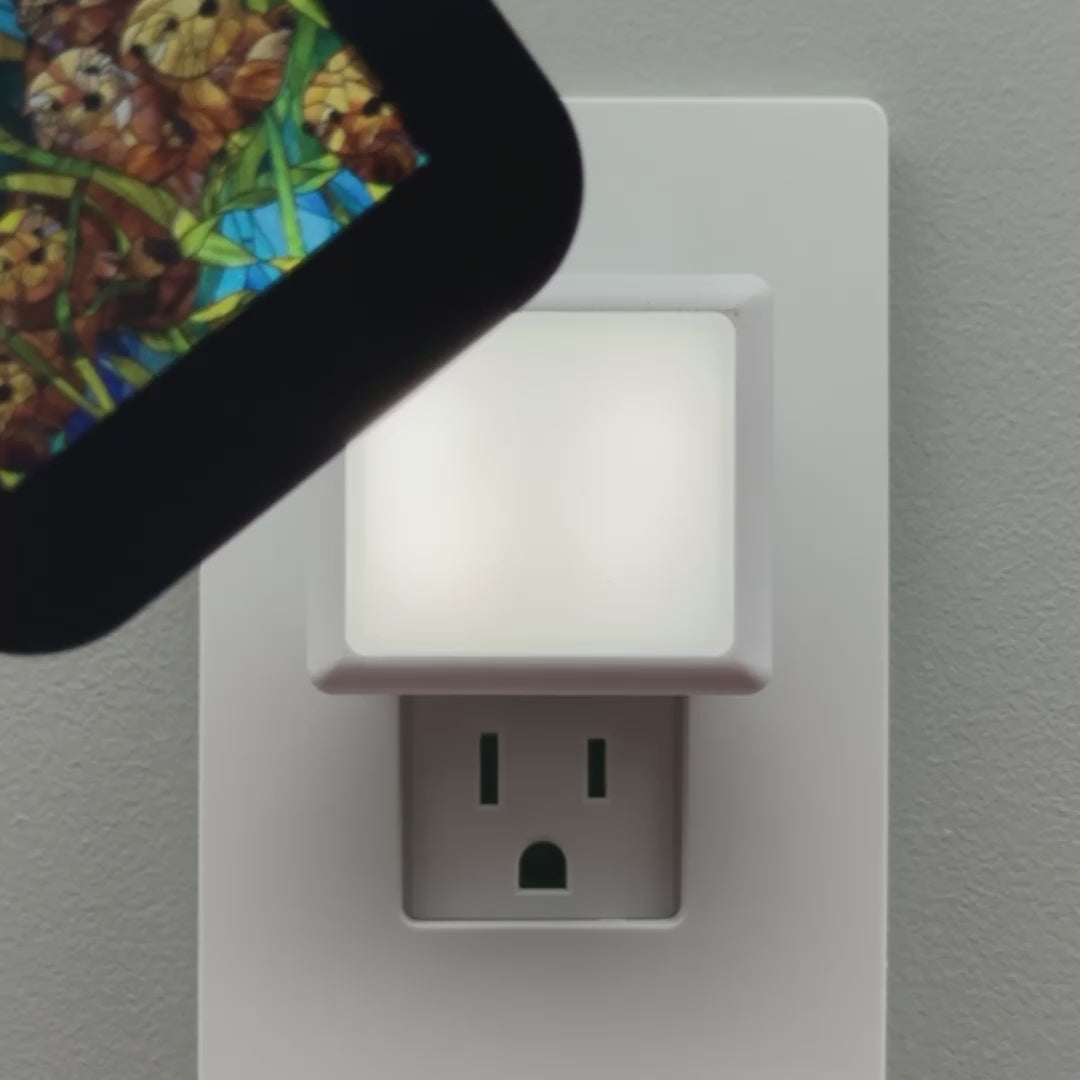 Load video: Otter Faux Stained Glass Night Light