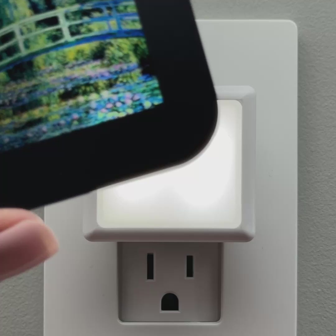 Load video: Water Lily Pond Night Light