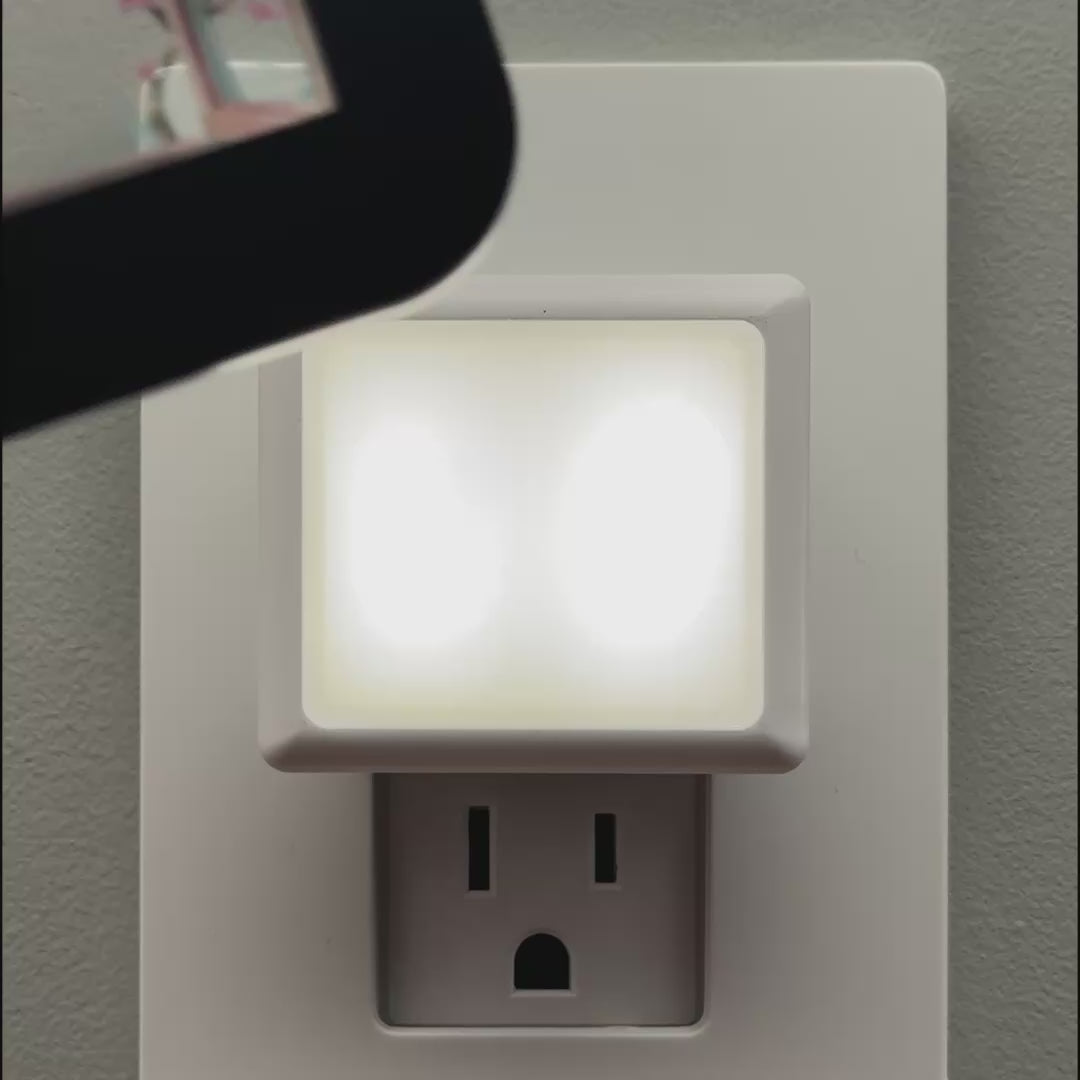 Load video: Cherry Blossom Window Night Light