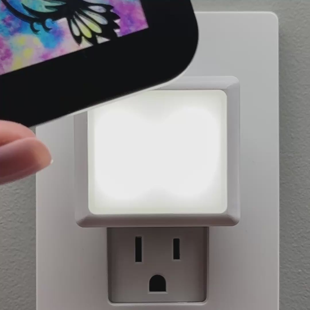 Load video: Hummingbird Night Light