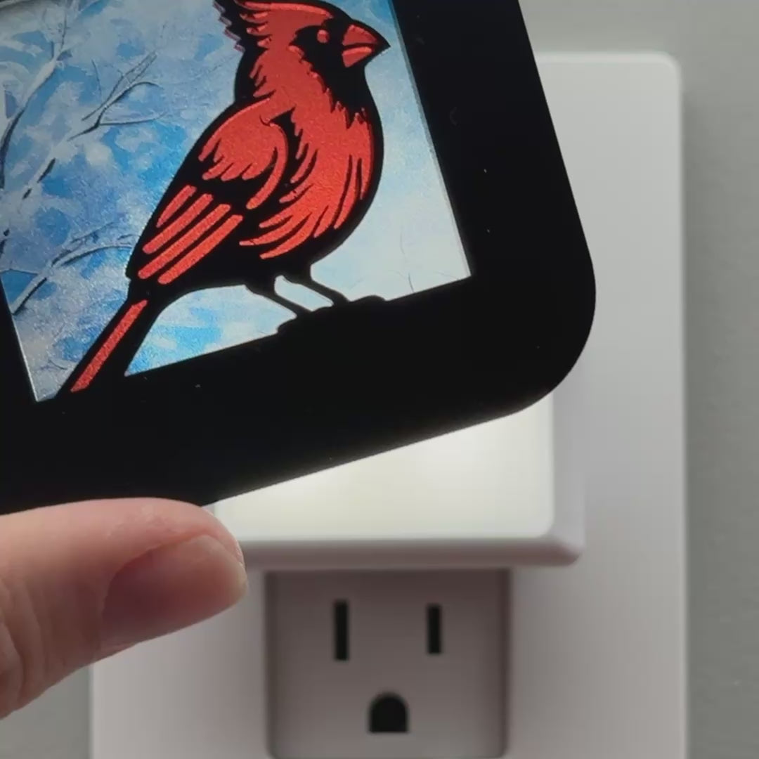 Load video: Red Cardinal in Winter Night Light