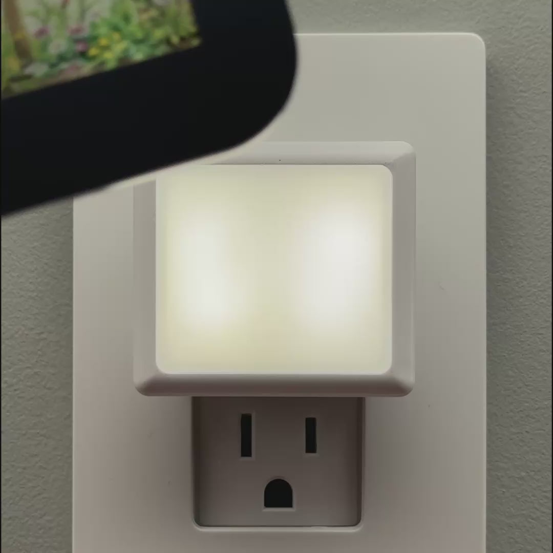 Load video: Rustic Window Night Light