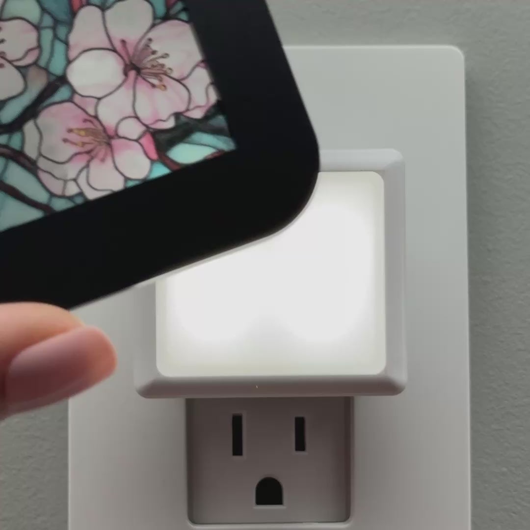 Load video: Cherry Blossom Flowers Night Light