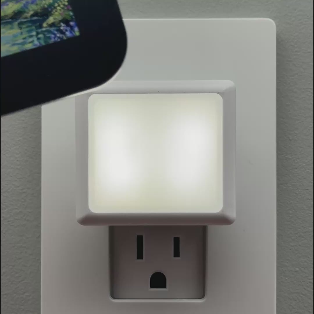 Load video: Spring Stream Night Light