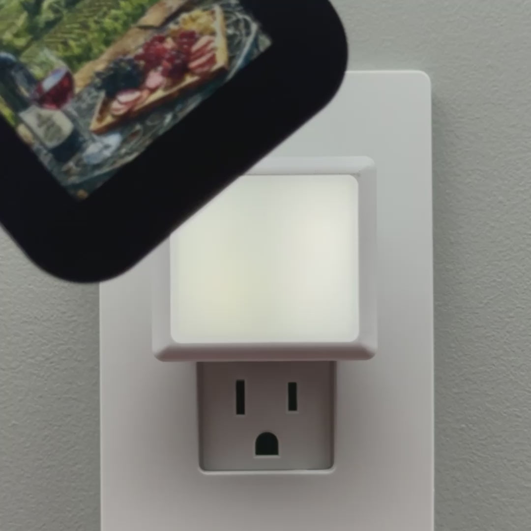 Load video: Wine and Charcuterie at the Vineyard Night Light Cover ONLY