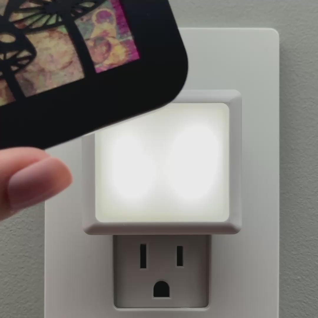 Load video: Mushrooms Night Light