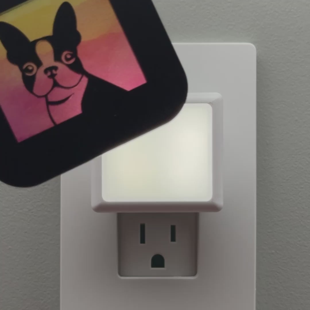 Load video: Boston Terrier Dog Night Light